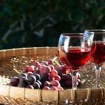 The Top 30 Wineries in New Jersey Ranked 15 The Top 30 Wineries in New Jersey Ranked