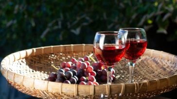 The Top 30 Wineries in New Jersey Ranked