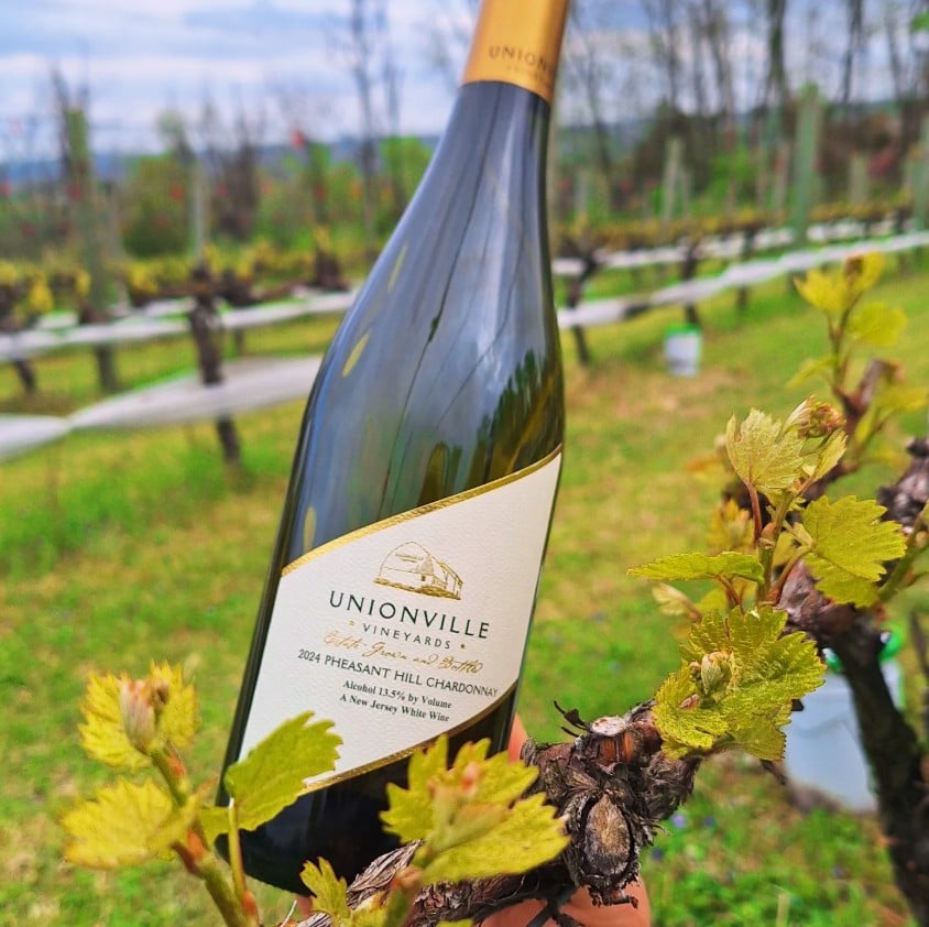 The Top 30 Wineries in New Jersey Ranked 27 Unionville Vineyards