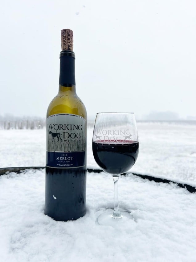 The Top 30 Wineries in New Jersey Ranked 17 Working Dog Winery