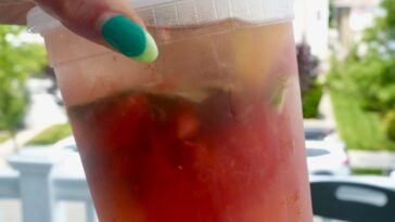 Watermelon Citrus Cooler Pic 13