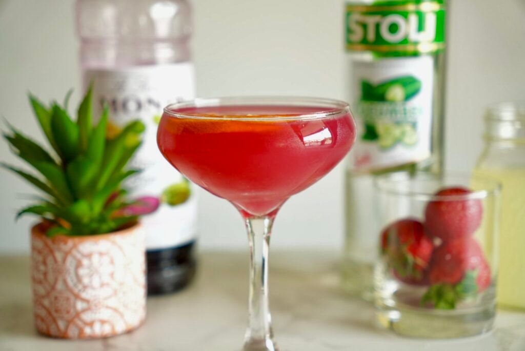 Cactus Cooler Cocktail 12 Cactus Cooler Pic 4